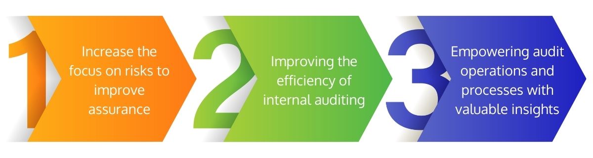 Aim of Auditing Projects